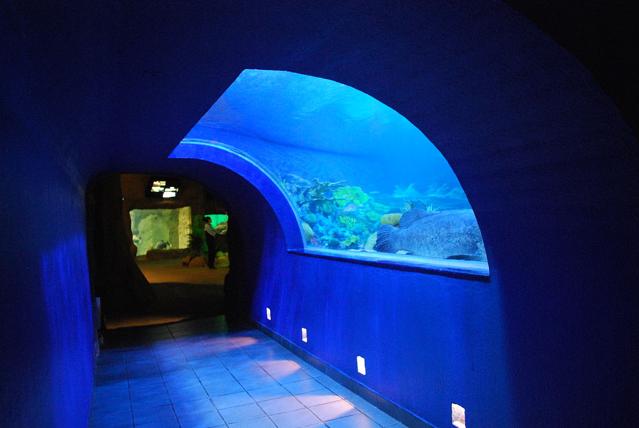 Acuario de Veracruz